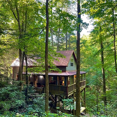Cozy Cabin In Red River Gorge Rogers المظهر الخارجي الصورة
