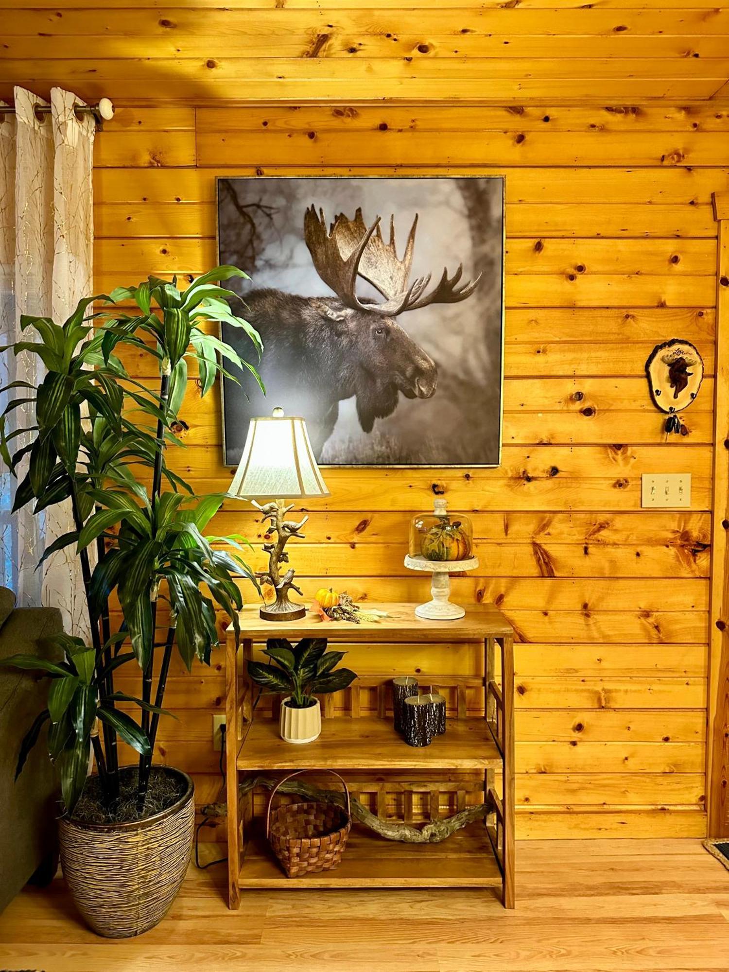 Cozy Cabin In Red River Gorge Rogers المظهر الخارجي الصورة